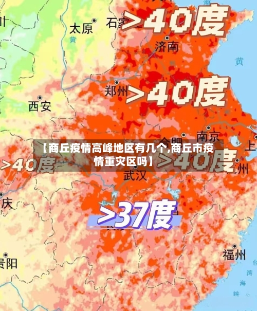【商丘疫情高峰地区有几个,商丘市疫情重灾区吗】-第3张图片