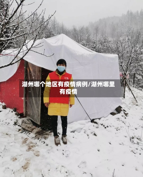 湖州哪个地区有疫情病例/湖州哪里有疫情-第1张图片