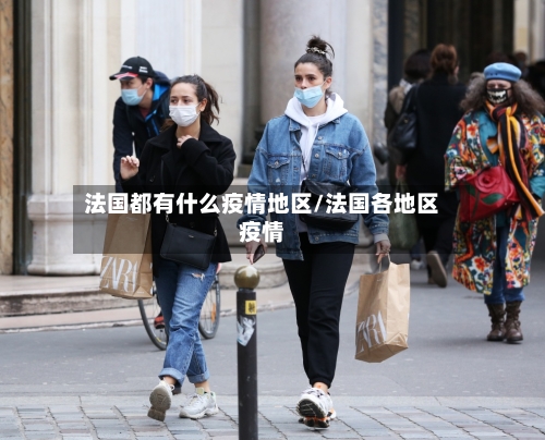 法国都有什么疫情地区/法国各地区疫情-第2张图片