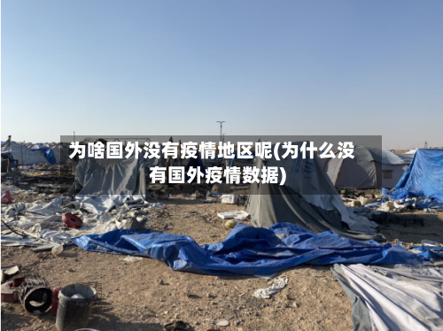 为啥国外没有疫情地区呢(为什么没有国外疫情数据)-第1张图片