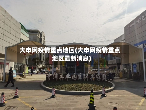 大申网疫情重点地区(大申网疫情重点地区最新消息)-第2张图片