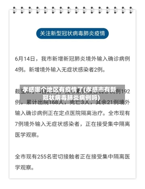 孝感哪个地区有疫情了(孝感市有新冠状病毒肺炎病例吗)-第1张图片