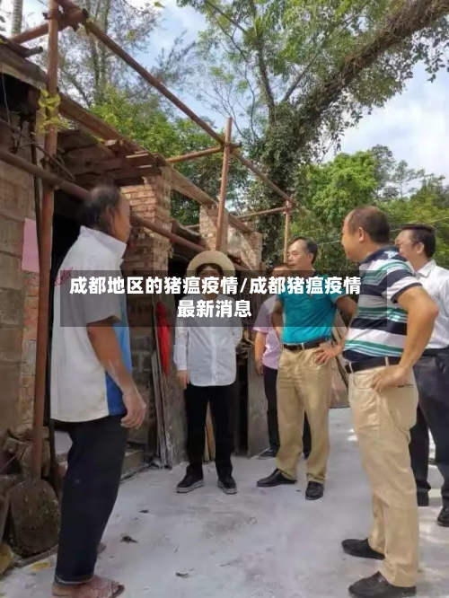 成都地区的猪瘟疫情/成都猪瘟疫情最新消息-第1张图片