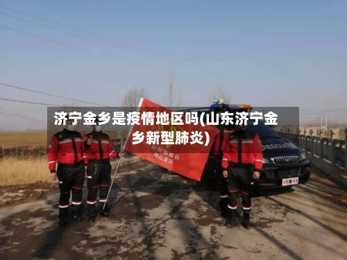 济宁金乡是疫情地区吗(山东济宁金乡新型肺炎)-第1张图片