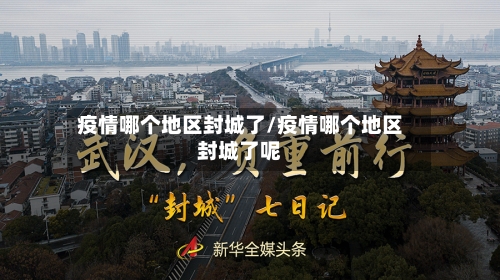 疫情哪个地区封城了/疫情哪个地区封城了呢-第1张图片