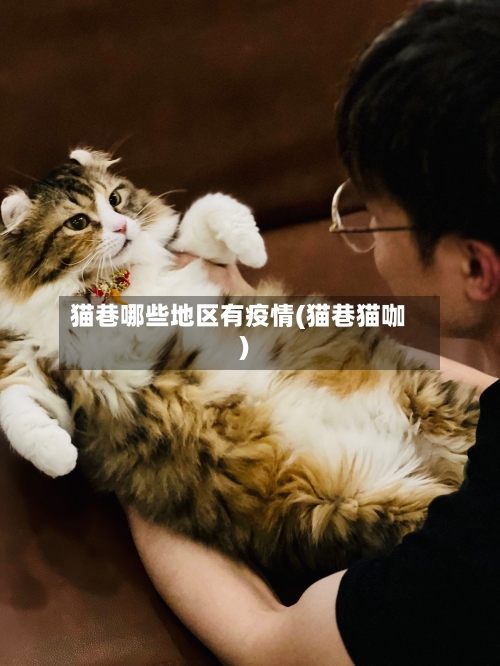 猫巷哪些地区有疫情(猫巷猫咖)-第2张图片