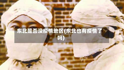 东北是否没疫情地区(东北也有疫情了吗)-第1张图片