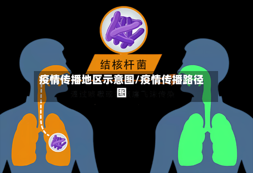 疫情传播地区示意图/疫情传播路径图-第2张图片