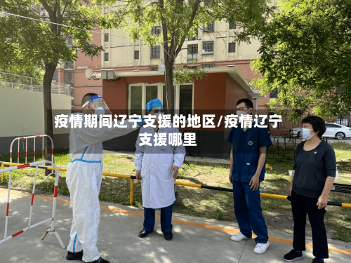 疫情期间辽宁支援的地区/疫情辽宁支援哪里-第2张图片