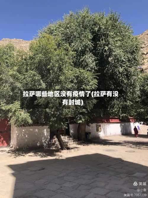 拉萨哪些地区没有疫情了(拉萨有没有封城)-第1张图片