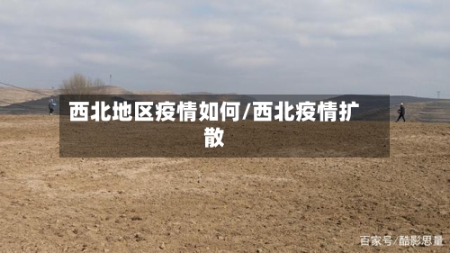 西北地区疫情如何/西北疫情扩散-第1张图片