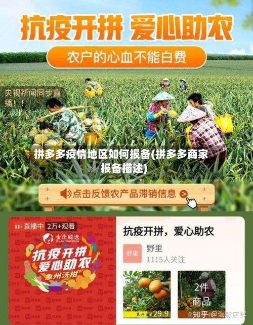 拼多多疫情地区如何报备(拼多多商家报备描述)-第2张图片