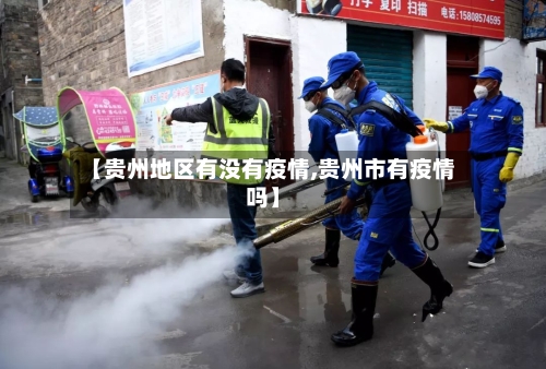 【贵州地区有没有疫情,贵州市有疫情吗】-第3张图片