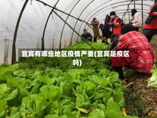 宜宾有哪些地区疫情严重(宜宾是疫区吗)-第3张图片