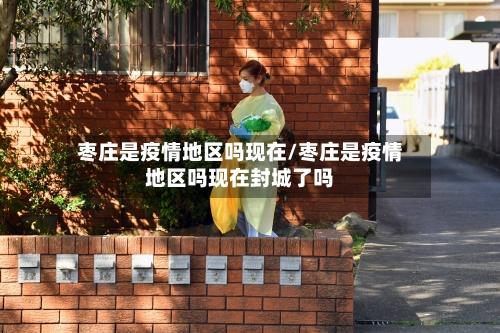 枣庄是疫情地区吗现在/枣庄是疫情地区吗现在封城了吗-第2张图片