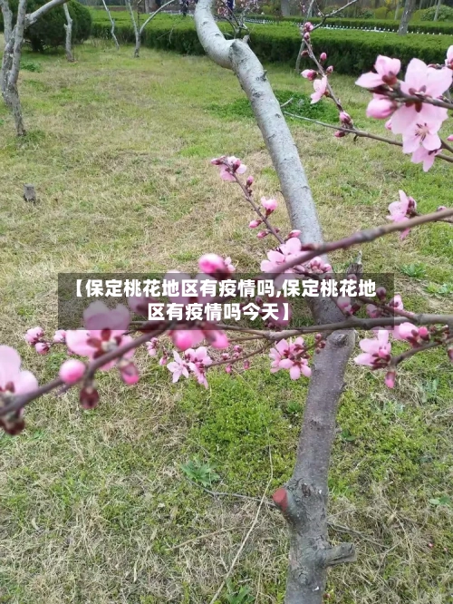 【保定桃花地区有疫情吗,保定桃花地区有疫情吗今天】-第3张图片