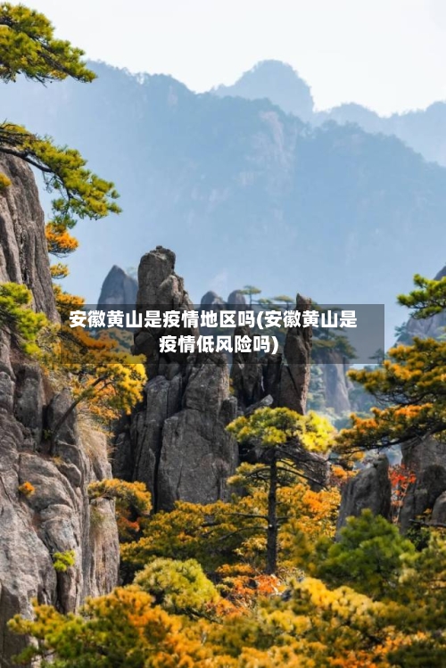 安徽黄山是疫情地区吗(安徽黄山是疫情低风险吗)-第1张图片