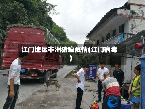 江门地区非洲猪瘟疫情(江门病毒)-第1张图片